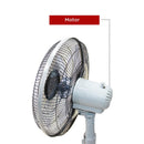 Nobel Stand Fan Black 16 Inch 3 Blades NF145
